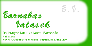barnabas valasek business card